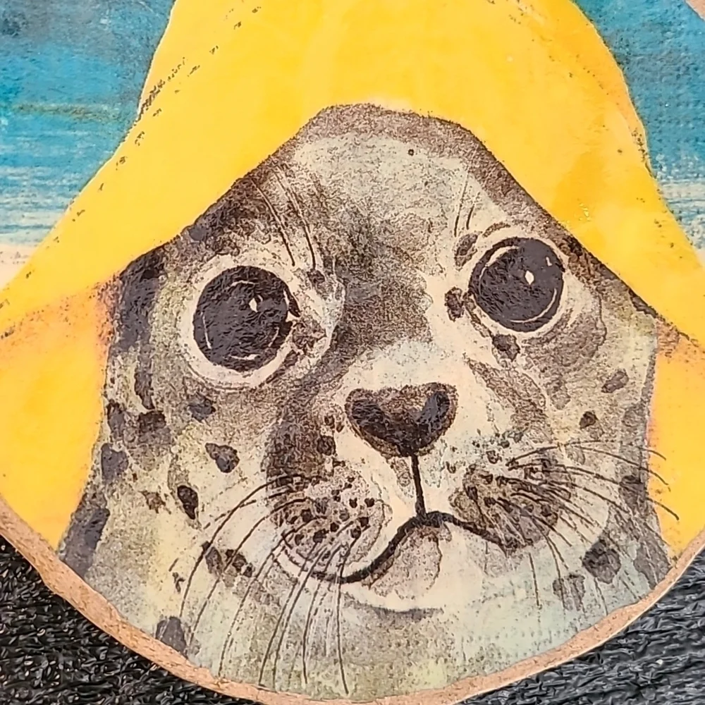 Baby Seal Trinket Shell (Handcrafted)